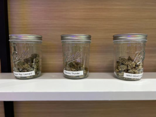 Cannabis and Anxiety: Evidence from the Most Cited Research